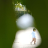 抱朴