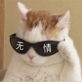 要养柯基呀！