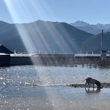 五谷花生小米
