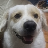 楼上
