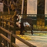 找