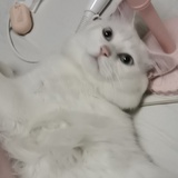Star_余生