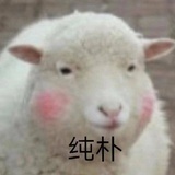 你说的都对