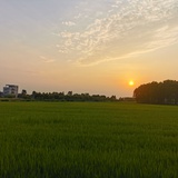微凉