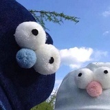 寄生蝎子