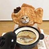 流泪猫猫头