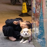 就酱西打