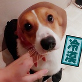 一心