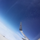 樱花公园