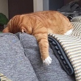 西瓜
