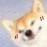 随时崩溃