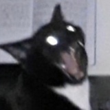 信号接收中