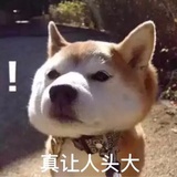 风风风筝丶