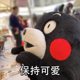 小陈陈