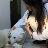 神仙