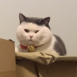 今我来思