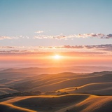 炜杰(南曦焙土)