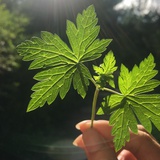 归途何处