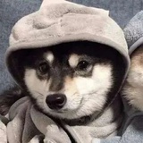 不要胡说八道