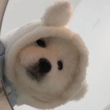 豆友