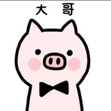 Z hang L何