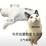 小小的🐑儿