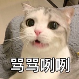 熬夜党