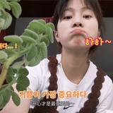 追风的姑娘