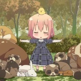 向阳