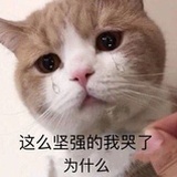 曲奇小饼干