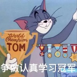 看星星闪烁