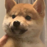 Hola