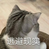 国产废物