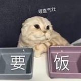 栩沉
