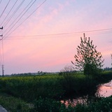 小磊