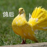 略略略👋