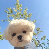 牛牛妞妞