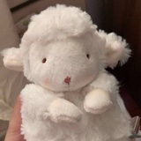 南桑北杨