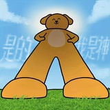 花生了什么树