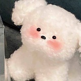 美女观察专家🤨