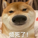 嗡嗡嗡