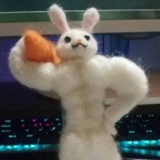 鸡鸭佳