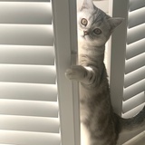 盐