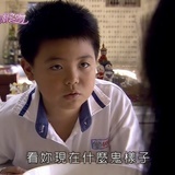 五倍子
