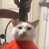 ゆらゆら