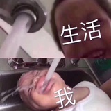 奶黄的崽崽