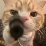 一串乱码