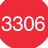 3306