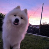 我来地球凑人数