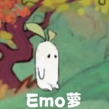 斯文笋